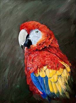 the parrot